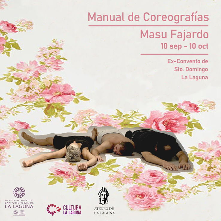 manual de coreografías