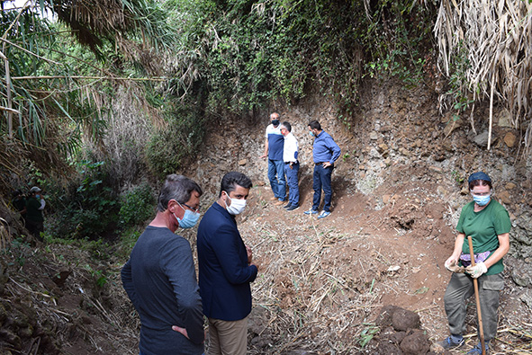 Cañaveral Barranco Las Mercedes