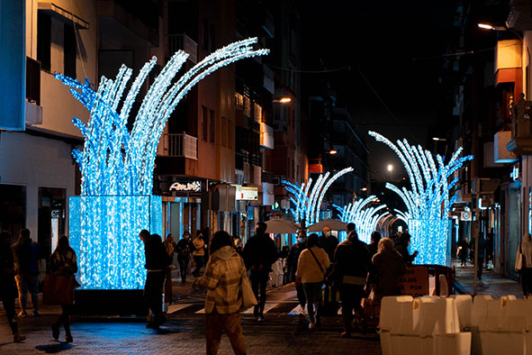 Encendido luces de navidad
