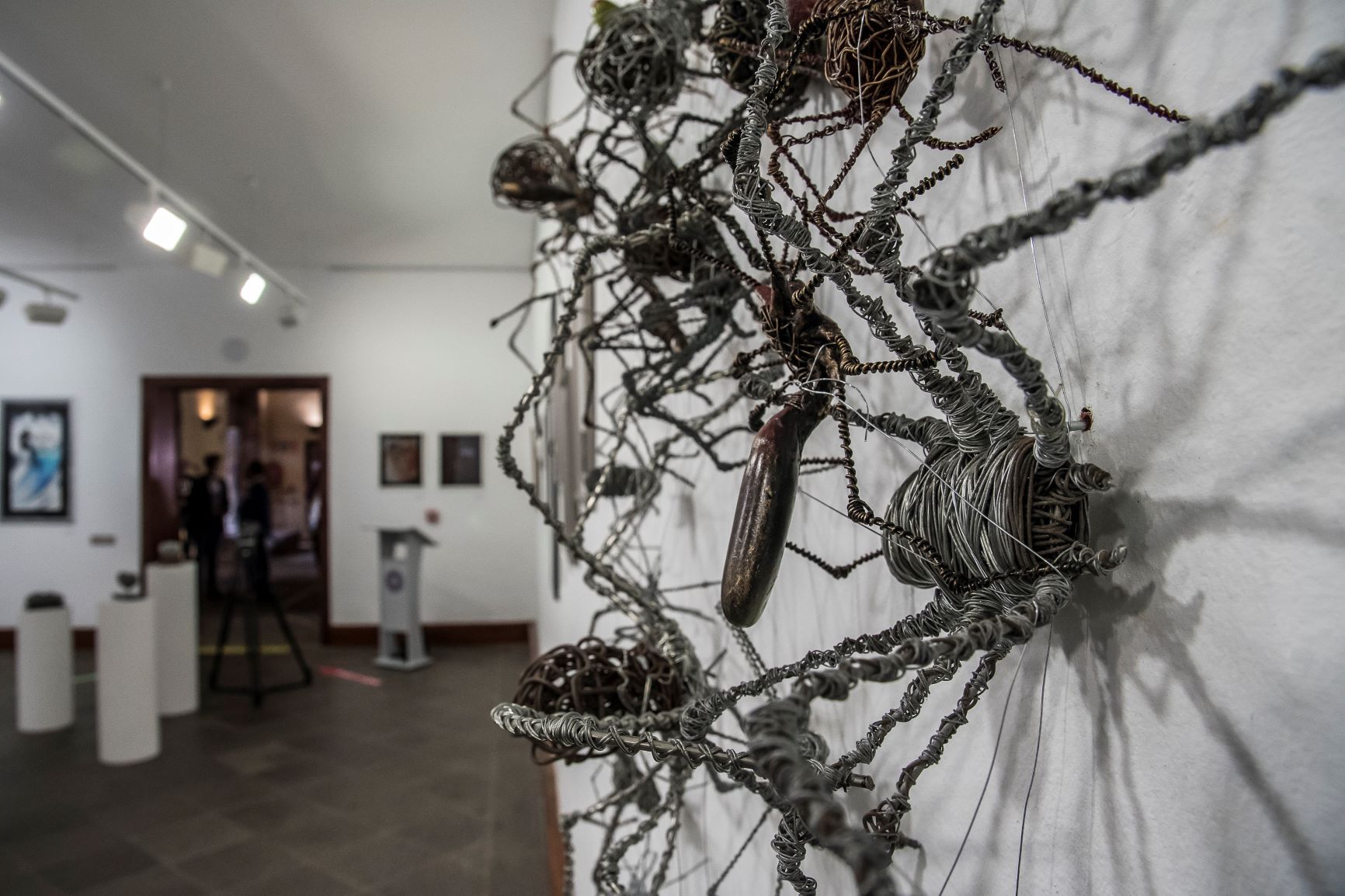 Exposición en Santo Domingo