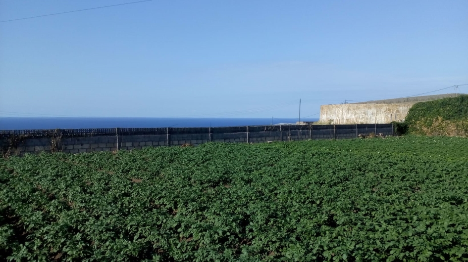 Finca en La Laguna