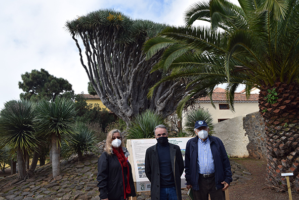 Parque el Drago_Victoria Eugenia Martín, José Luis Hernández y Wilfredo Wildpret
