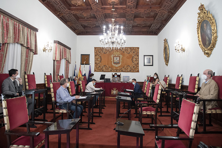 Pleno Ayto 21-5-2020