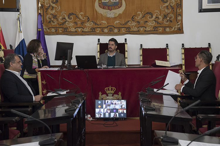 Pleno Ayuntamiento-8-5