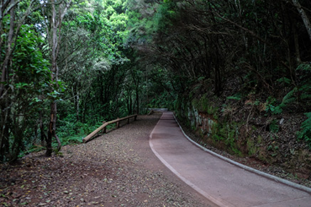 Sendero La Laguna