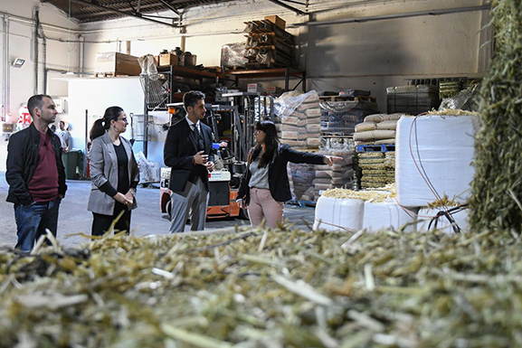 Visita Cooperativa del Campo