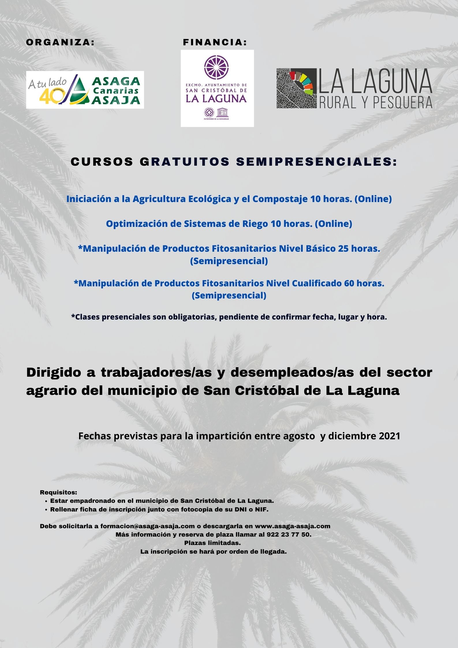 Cartel sobre los cuatro cursos