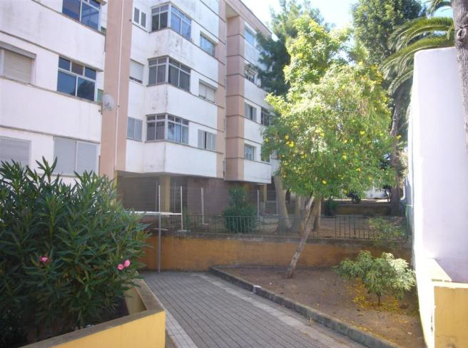 Zona de actuación en urbanización Padre Anchieta (1)