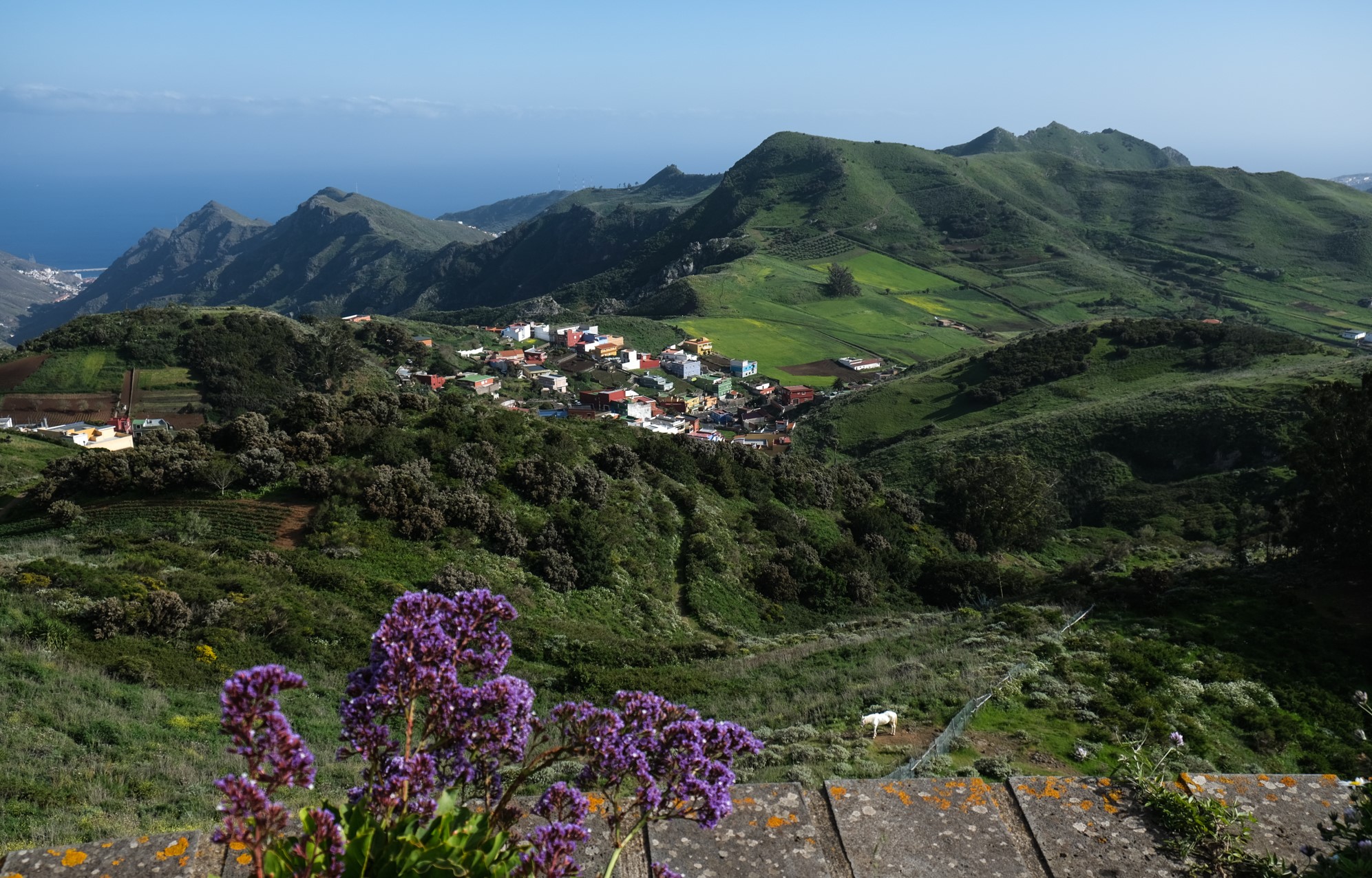 Vista de Jardina