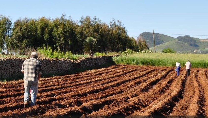 Trabajo agrícola