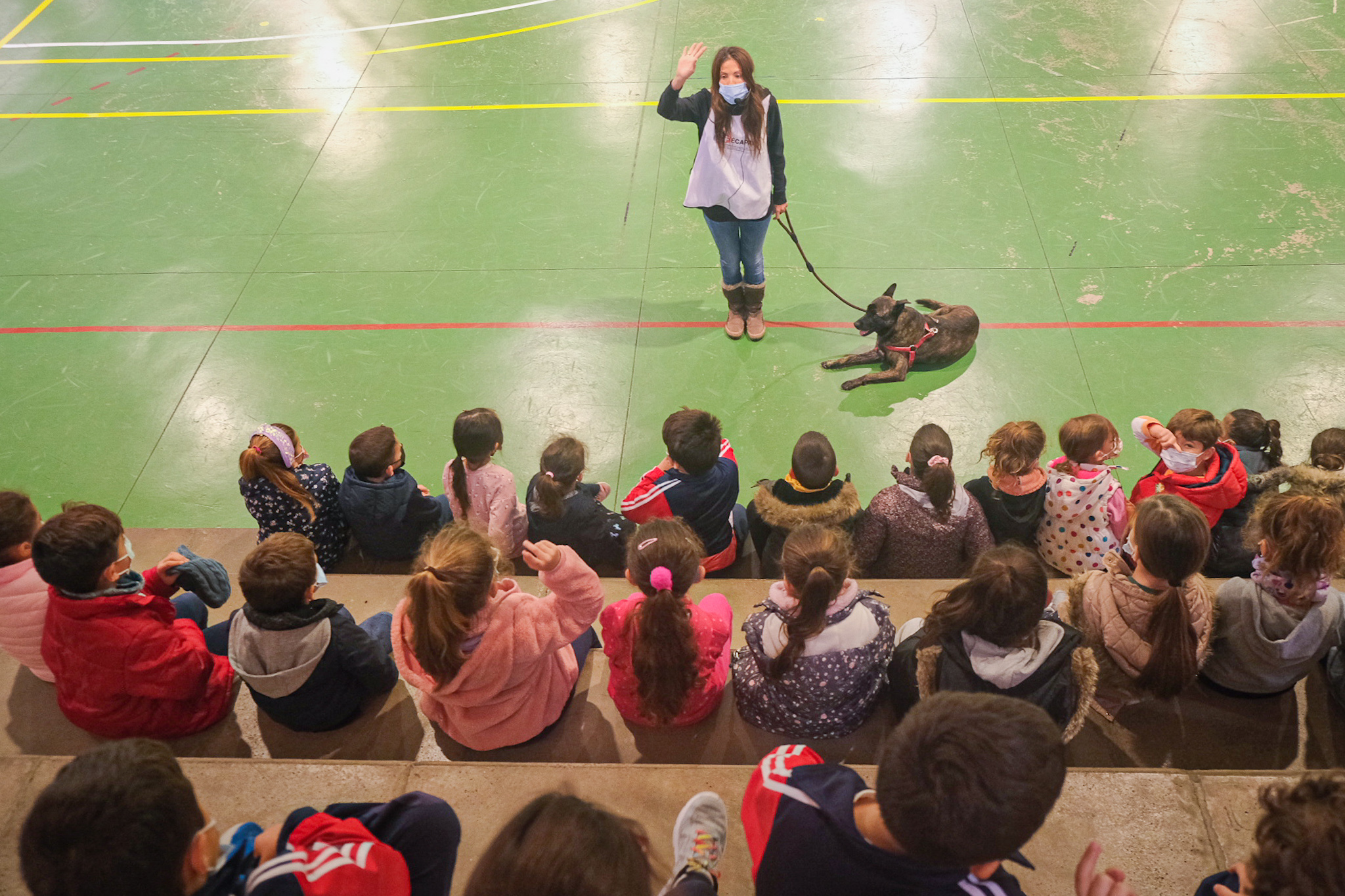 Feria_Adopción_CEIP_Nava