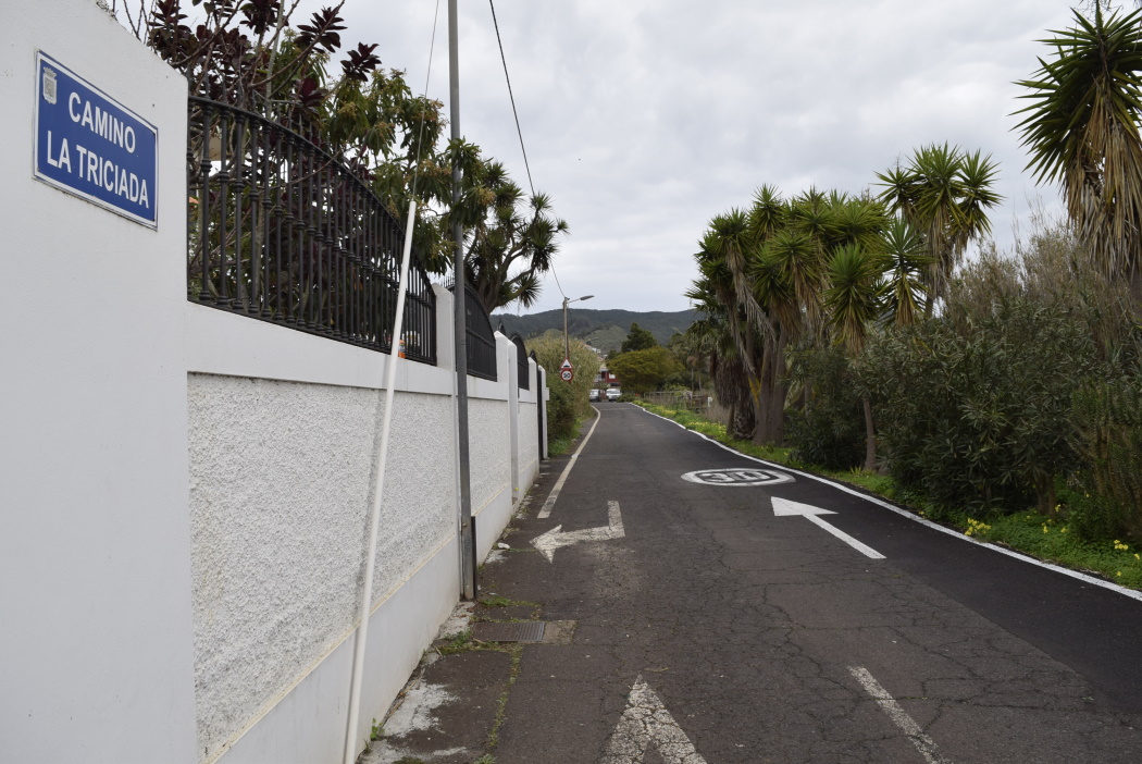 Camino_La Triciada