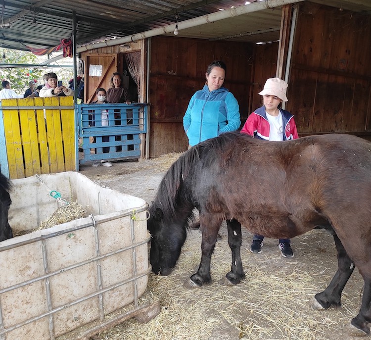 Equino_Sentido_Educación