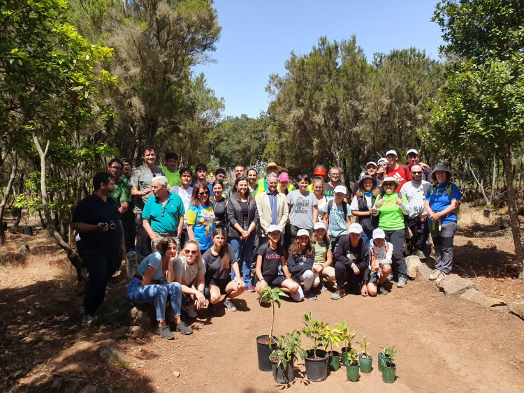 Actividades Mesa Mota