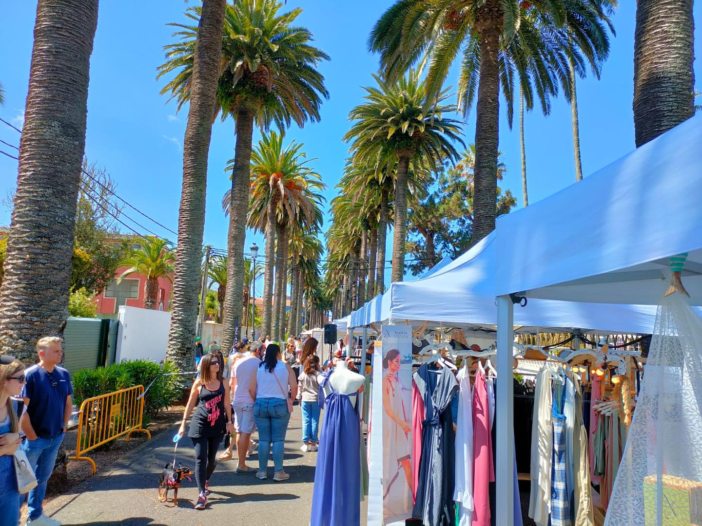 Dreamer Market_Mayo 2022