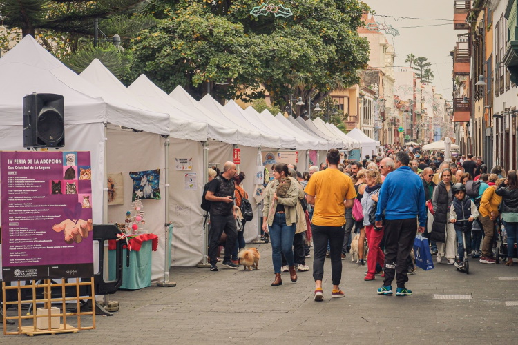 10DIC_FERIA ADOPCION_RESUMEN-24