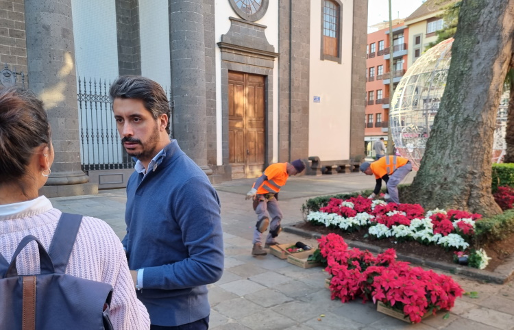 Decoración Flores de pascua