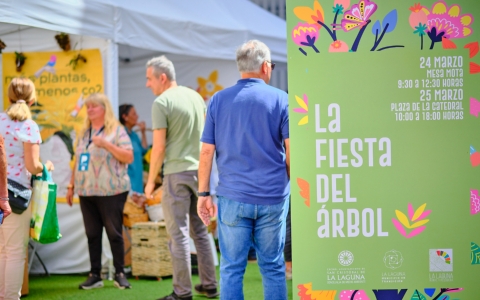 Fiesta_arbol_Catedral