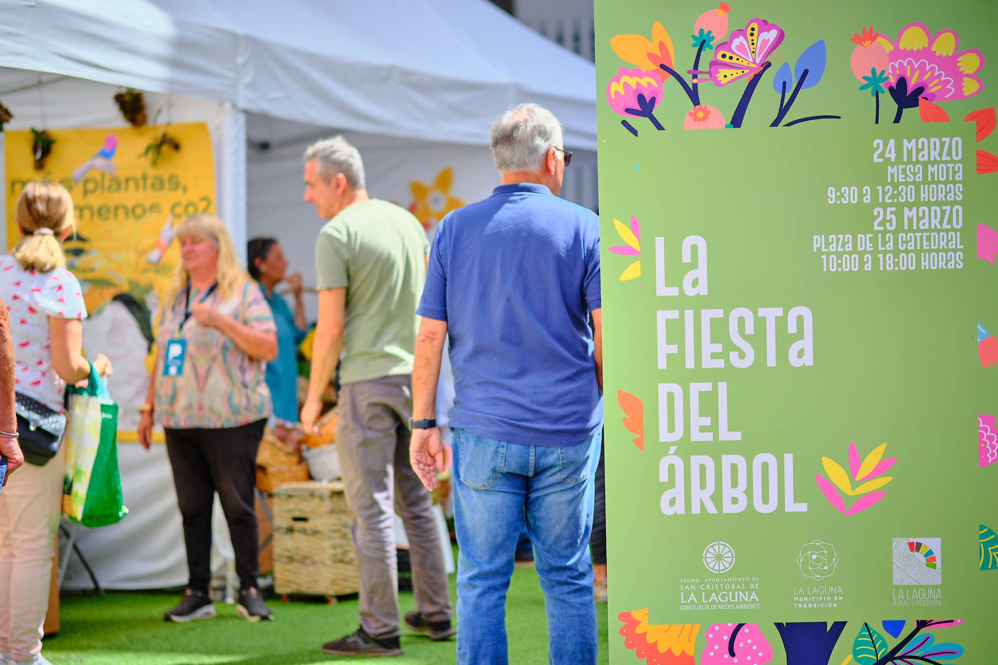 Fiesta_arbol_Catedral