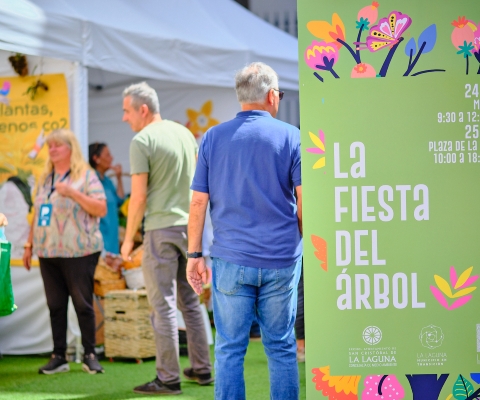 Fiesta_arbol_Catedral