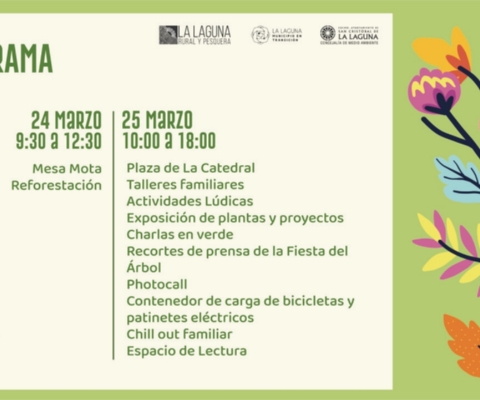 Programa_corto_Fiesta_Árbol