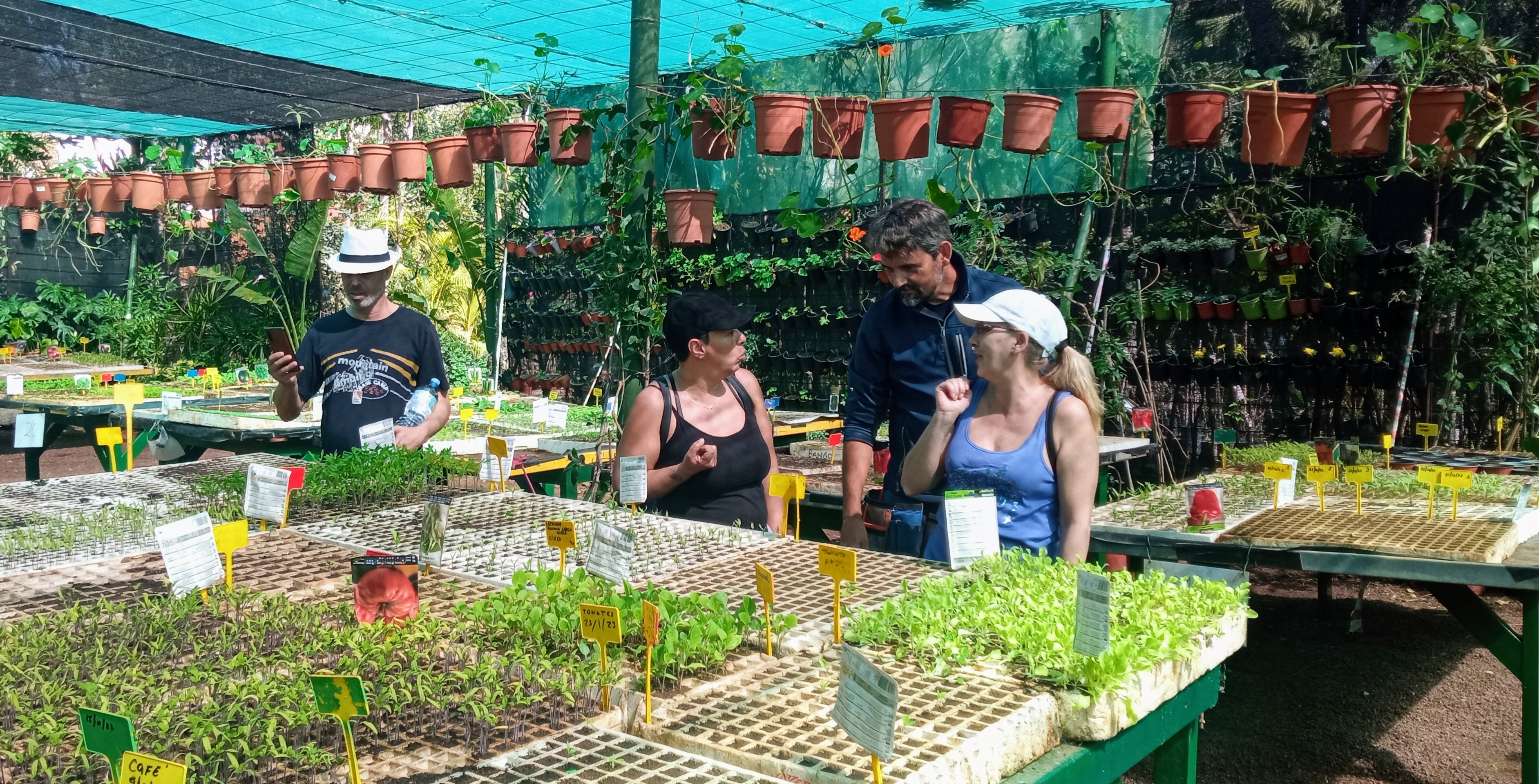 Vecinos_Geneto_visita_bosque_productivo_Adeje1