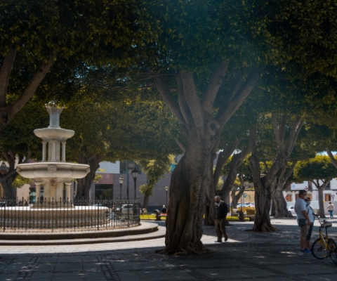 Plaza del Adelantado