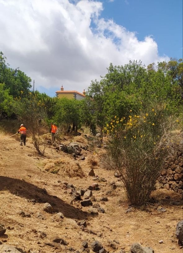 NoSoloBollo: Zafarrancho de limpieza