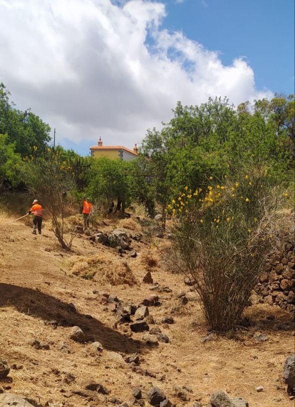 Limpieza_barrancos_LaLaguna