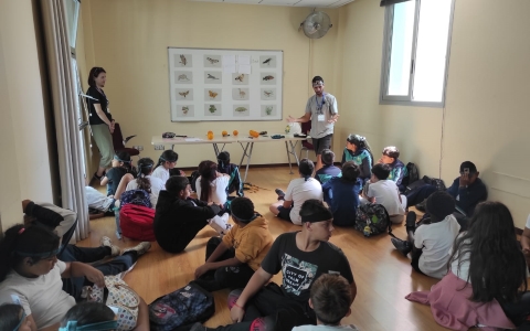Actividades_escolares_Semana_MedioAmbiente2