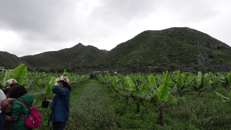 Finca La Laguna