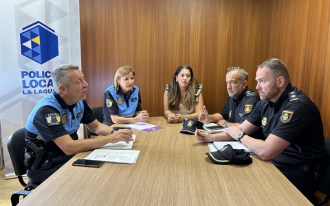 Reunión Seguridad