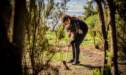 Archivo, reforestación en Mesa Mota