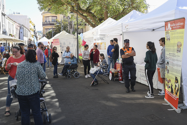 Mercadillo Navideño Solidario-1-2