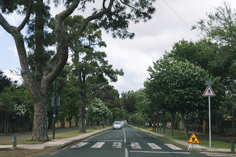 Imagen de Archivo del Camino Las Peras