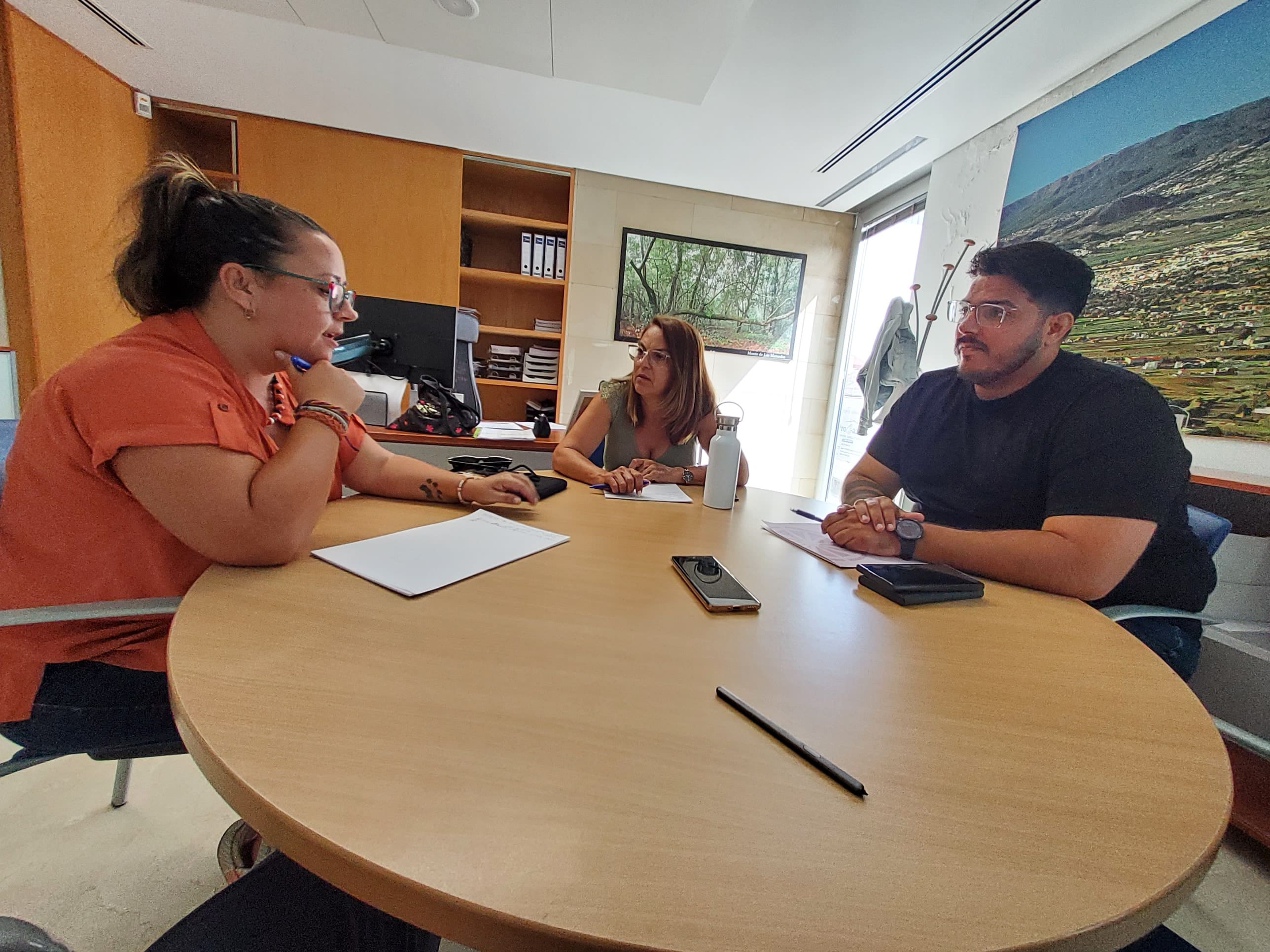 Idaira Afonso, María Cruz y Dailos González en la reunión 2