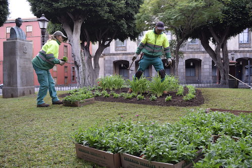 Plantación 2