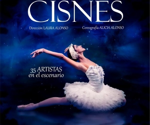 cisnes.jpg_1083664362