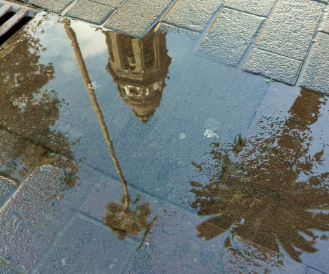 Foto 03