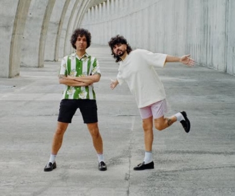 Los Vinagres
