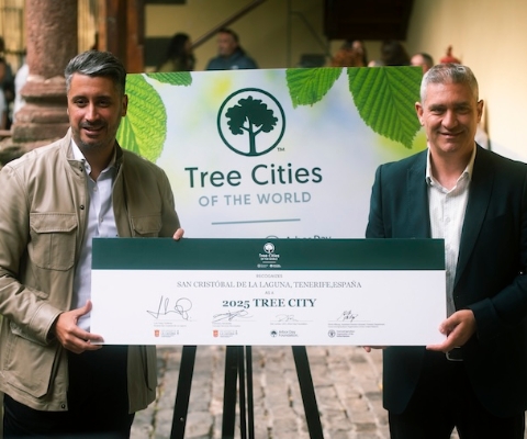 Tree City of the World 2024