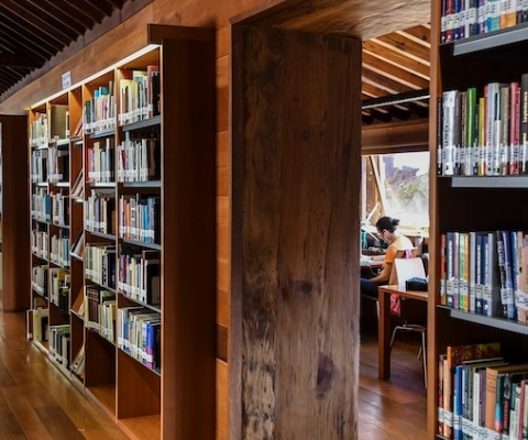 Biblioteca Pública Adrián Alemán_2