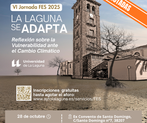 VI Jornada FES 2025 - FEED (1080 X 1350) (1)