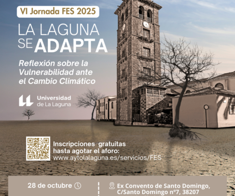 VI Jornada FES 2025 - FEED (1080 X 1350)