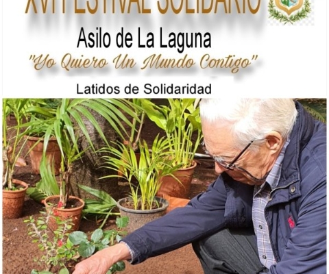 asilo