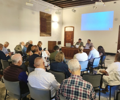 Consejo_Patrimonio_LaLaguna_octubre25