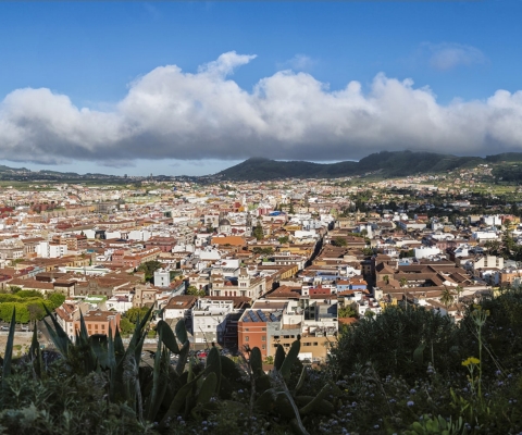 Vista de La Laguna