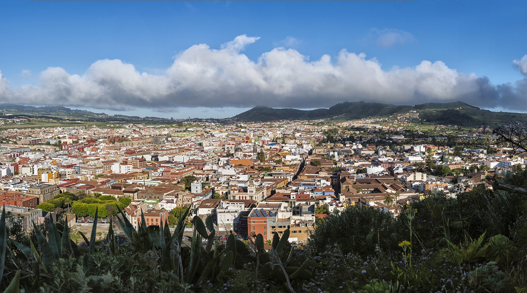 Vista de La Laguna