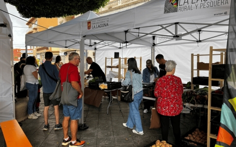 Mercadillo 240525_3
