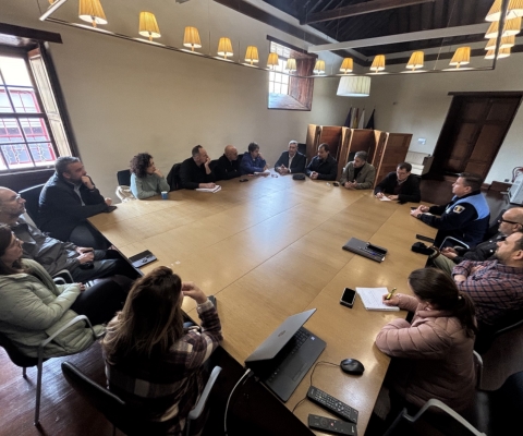 Reunión Seguridad 1